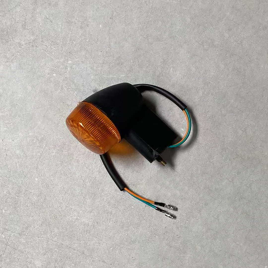 Rear Turn Light-L