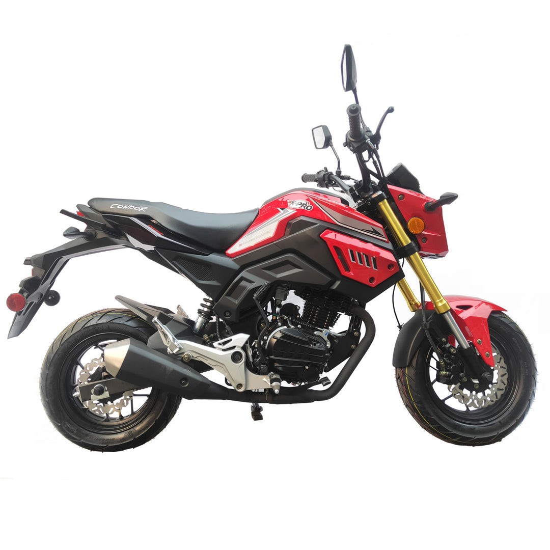 Free Shipping! X-PRO Condor150cc Street Motorcycle with 5-Speed Manual Transmission, Electric/Kick Start! 12in Wheels!