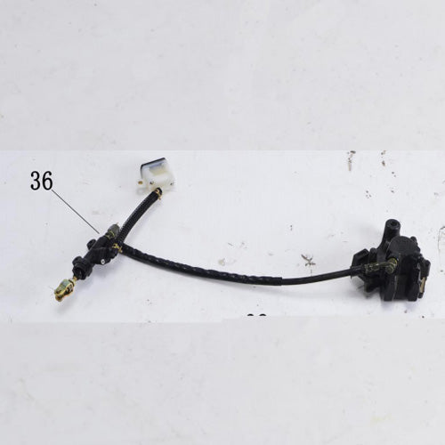 Rear Brake Assembly