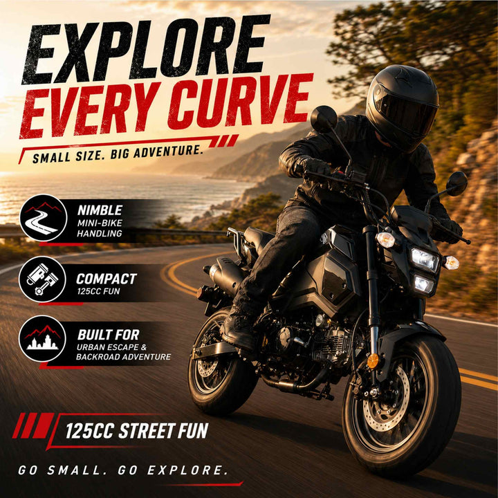Free shipping! X-PRO 125cc Vader Motorcycle with Manual Transmission, Electric Start! Dual Headlights! Big 12in Wheels!