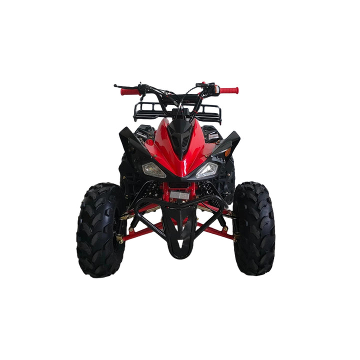 Free Shipping! X-PRO Leopard 125cc ATV with Automatic Transmission w/Reverse, Remote Control! Big 19in/18inTires!