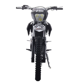 Free Shipping! X-PRO Knight 250 Dirt Bike with LED Headlight, 5-Speed Manual Transmission, Electric/Kick Start! Big 21"/18" Wheels! Zongshen Brand Engine!