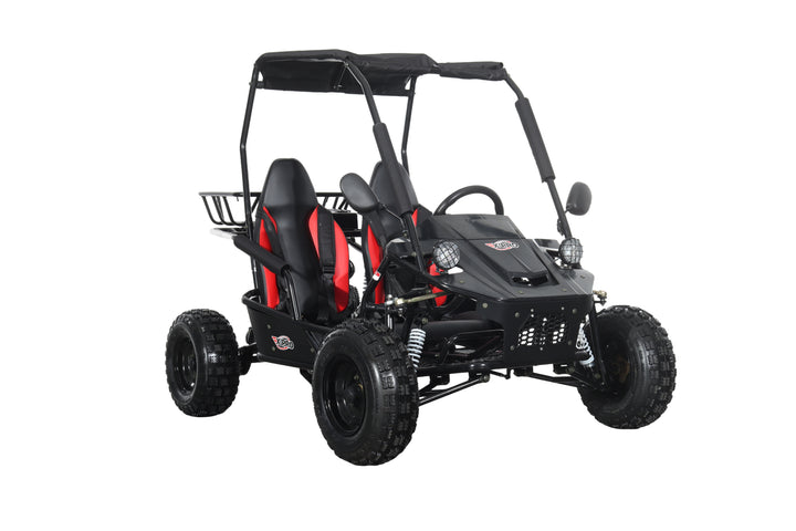 Free Shipping! X-PRO Rover 110cc Go Kart with Automatic Transmission w/Reverse, LED Headlights, Big 16" Wheels!