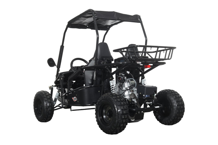 Free Shipping! X-PRO Rover 110cc Go Kart with Automatic Transmission w/Reverse, LED Headlights, Big 16" Wheels!