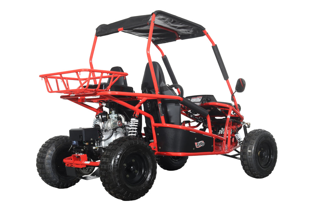 Free Shipping! X-PRO Rover 110cc Go Kart with Automatic Transmission w/Reverse, LED Headlights, Big 16" Wheels!