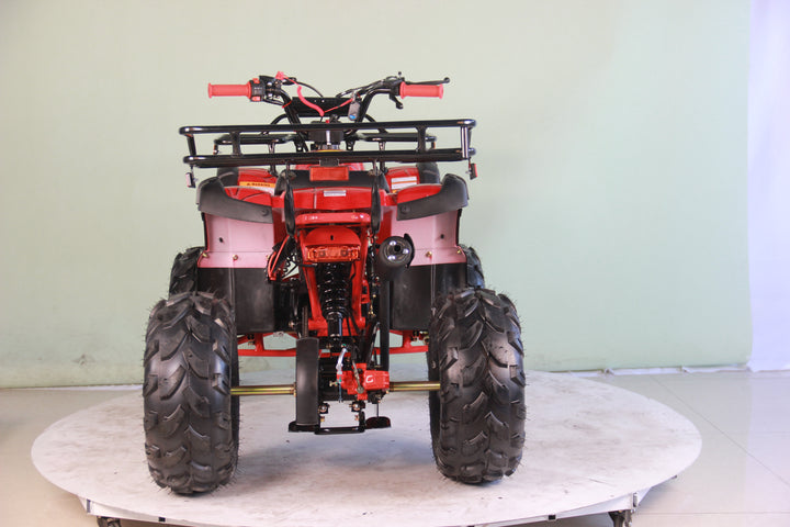 Free shipping! X-PRO Hawk 125cc ATV with Automatic Transmission w/Reverse,  LED Headlights, Remote Control! Big 19in/18inTires!