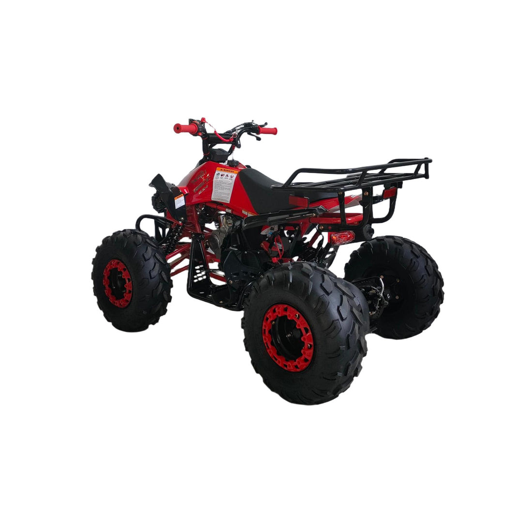 Free Shipping! X-PRO Leopard 125cc ATV with Automatic Transmission w/Reverse, Remote Control! Big 19in/18inTires!