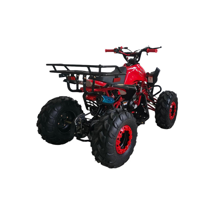 Free Shipping! X-PRO Leopard 125cc ATV with Automatic Transmission w/Reverse, Remote Control! Big 19in/18inTires!