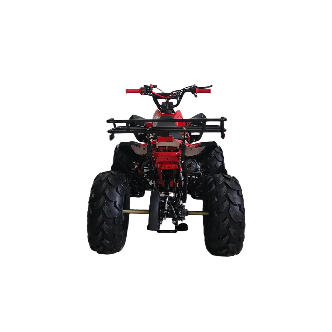 Free Shipping! X-PRO Leopard 125cc ATV with Automatic Transmission w/Reverse, Remote Control! Big 19in/18inTires!