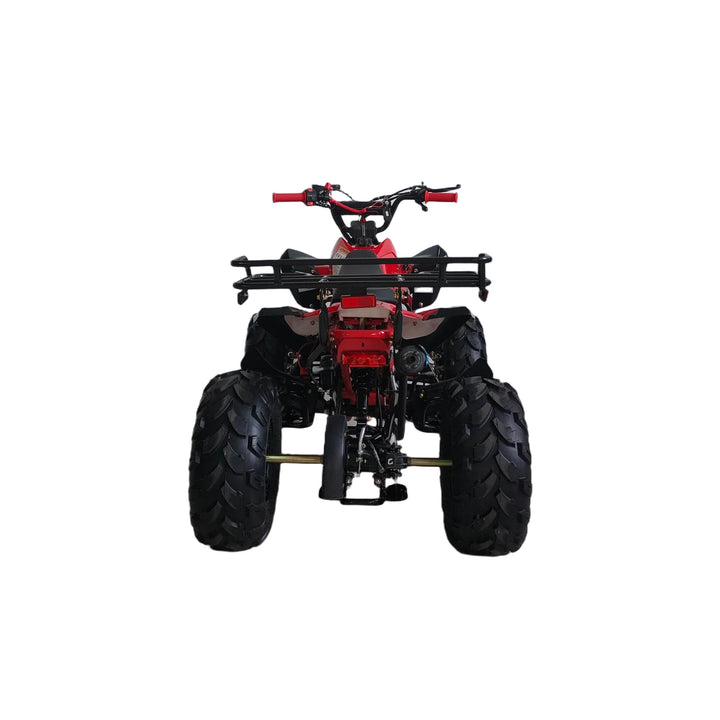 Free Shipping! X-PRO Leopard 125cc ATV with Automatic Transmission w/Reverse, Remote Control! Big 19in/18inTires!
