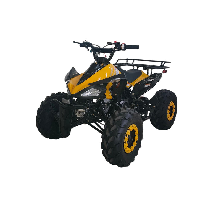 Free Shipping! X-PRO Leopard 125cc ATV with Automatic Transmission w/Reverse, Remote Control! Big 19in/18inTires!