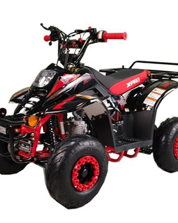 Free shipping! X-PRO 110cc  Eagle ATV with Automatic Transmission, with Remote Control! Rear Rack!