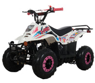 Free shipping! X-PRO Bolt 110cc ATV with Automatic Transmission, with Remote Control! Rear Rack!