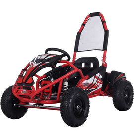 Free Shipping! X-PRO E-Rover 1000W 48V Kids Electric Go Kart with Reverse and Rear Disc Brake! 6" Tires!