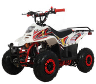 Free shipping! X-PRO Bolt 110cc ATV with Automatic Transmission, with Remote Control! Rear Rack!