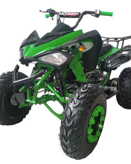 Free Shipping! X-PRO 200cc Sports ATV with Automatic Transmission with Reverse, LED Headlights, Big 23"/22" Tires!