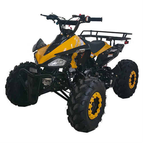 Free Shipping! X-PRO Leopard 125cc ATV with Automatic Transmission w/Reverse, Remote Control! Big 19in/18inTires!