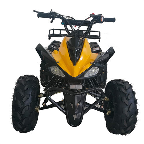 Free Shipping! X-PRO Leopard 125cc ATV with Automatic Transmission w/Reverse, Remote Control! Big 19in/18inTires!