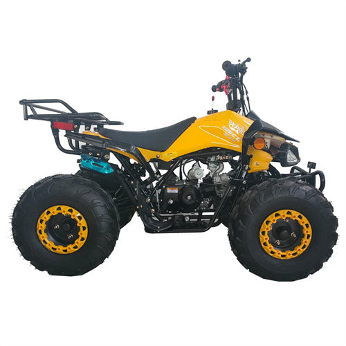 Free Shipping! X-PRO Leopard 125cc ATV with Automatic Transmission w/Reverse, Remote Control! Big 19in/18inTires!