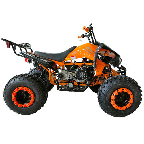 Free Shipping! X-PRO Panther 200cc Sports ATV with Automatic Transmission with Reverse, LED Headlights, Big 23in/22in Tires!
