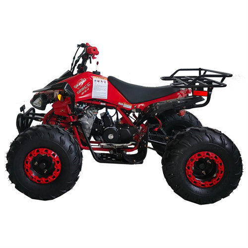 Free Shipping! X-PRO Leopard 125cc ATV with Automatic Transmission