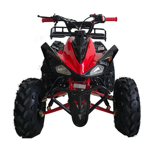 Free Shipping! X-PRO Leopard 125cc ATV with Automatic Transmission w/Reverse, Remote Control! Big 19in/18inTires!