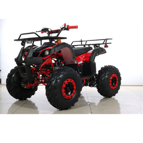 Motor ATV/Quad 125ccm 4-Takt 3 + 1 semi-automatik E-Start - RAD-X Shop
