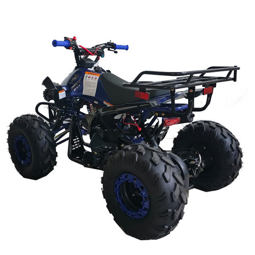 Free Shipping! X-PRO Leopard 125cc ATV with Automatic Transmission w/Reverse, Remote Control! Big 19in/18inTires!
