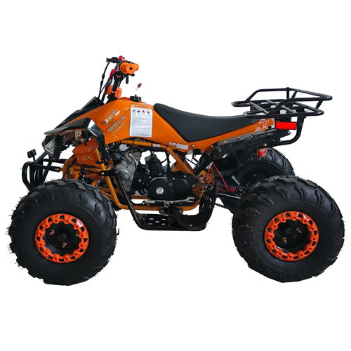 Free Shipping! X-PRO Leopard 125cc ATV with Automatic Transmission w/Reverse, Remote Control! Big 19in/18inTires!