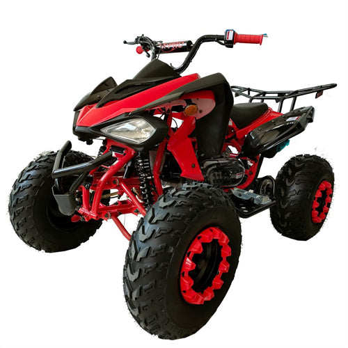 Free Shipping! X-PRO Panther 200cc Sports ATV with Automatic