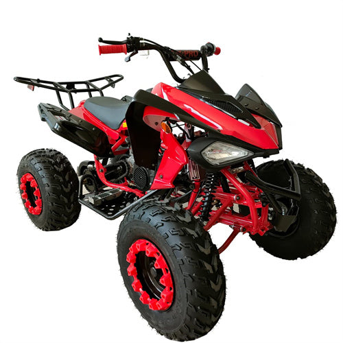 Free Shipping! X-PRO Panther 200cc Sports ATV with Automatic Transmission with Reverse, LED Headlights, Big 23in/22in Tires!