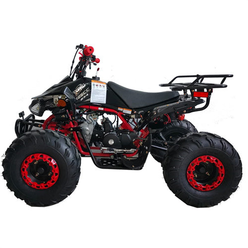 Free Shipping! X-PRO Leopard 125cc ATV with Automatic Transmission w/Reverse, Remote Control! Big 19in/18inTires!