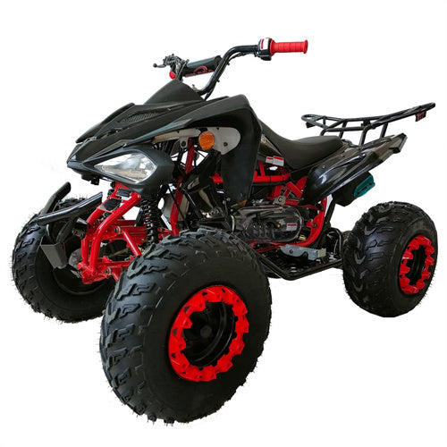 Free Shipping! X-PRO Panther 200cc Sports ATV with Automatic Transmission with Reverse, LED Headlights, Big 23in/22in Tires!