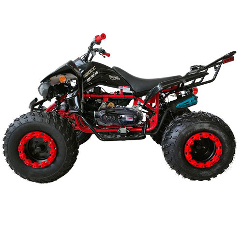 Free Shipping! X-PRO Panther 200cc Sports ATV with Automatic