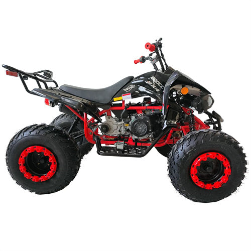 Free Shipping! X-PRO Panther 200cc Sports ATV with Automatic