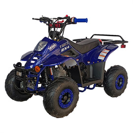 Free shipping! X-PRO  Eagle 110cc  ATV with Automatic Transmission, with Remote Control! Rear Rack!